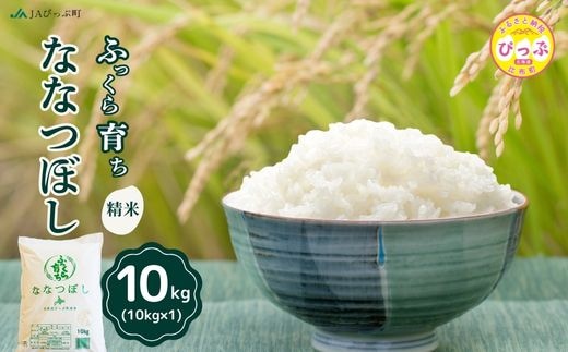 令和8年産 新米 ななつぼし 精米 10kg（10kg×1袋）【JAぴっぷ町】米 お米 北海道産 北海道米 特Aランク 国産 白米 コメ 北海道 比布町 ぴっぷ 1001-012