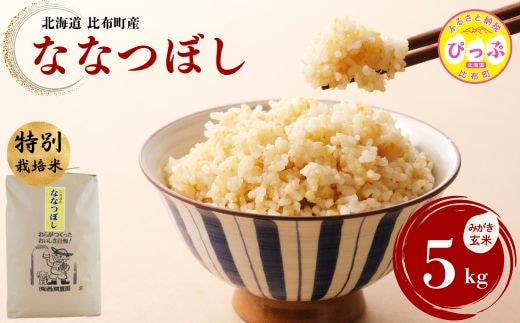 令和7年産 特別栽培米 ななつぼし みがき玄米 5kg【西間農園】 玄米 お米 米 北海道産 北海道米 特Aランク 国産 コメ JGAP認証農場 北海道 比布町 ぴっぷ 1005-031
