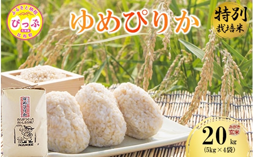 令和7年産 特別栽培米 ゆめぴりか みがき玄米 20kg（5kg×4）【西間農園】玄米 お米 米 北海道産 北海道米 特Aランク 国産 コメ JGAP認証農場 北海道 比布町 ぴっぷ 1005-053