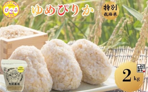 【令和8年産 新米受付】 特別栽培米 ゆめぴりか みがき玄米 2kg 【西間農園】 玄米 お米 北海道産 北海道米 特Aランク 国産 コメ JGAP認証農場 北海道 比布町 ぴっぷ 1005-066