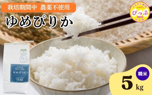 令和7年産 今野農園 ゆめぴりか 精米 5kg 【ピリカ(株)】 化学肥料不使用 米 お米 北海道米 特Aランク 国産 白米 コメ 2025年産 北海道 比布町 ぴっぷ 1012-004