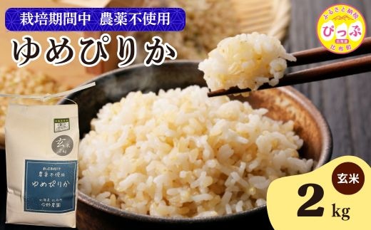 令和7年産 今野農園 ゆめぴりか 玄米 2kg 【ピリカ(株)】 化学肥料不使用 米 お米 北海道米 特Aランク 国産 コメ 2025年産 北海道 比布町 ぴっぷ 1012-006