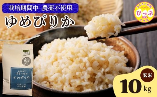 令和7年産 今野農園 ゆめぴりか 玄米 10kg 【ピリカ(株)】 化学肥料不使用 米 お米 北海道米 特Aランク 国産 コメ 2025年産 北海道 比布町 ぴっぷ 1012-008