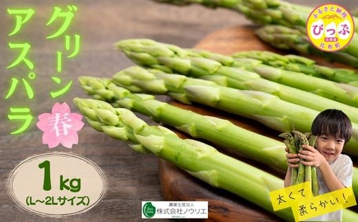 【2026年4月中旬より発送】比布町産 グリーンアスパラ L〜2L サイズ 1kg【農業生産法人ノウリエ】春アスパラ アスパラガス 野菜 新鮮 緑黄色野菜 国産 北海道産 産地直送 北海道 比布町 ぴっぷ 1017-004
