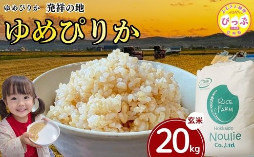 令和7年産 ゆめぴりか 玄米 20kg【農業生産法人ノウリエ】米 お米 北海道米 特Aランク 国産 コメ 北海道 比布町 ぴっぷ 1017-009