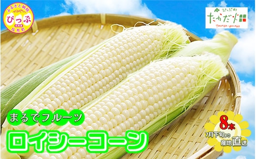 【2026年7月下旬頃発送】「ロイシーコーン」 8本 約1.6kg【たかだ畑】とうもろこし スイートコーン 白い 野菜 産地直送 とうきび BBQ バーベキュー キャンプ 甘い 北海道 比布町 ぴっぷ 1018-001
