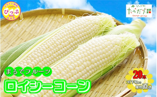 【2026年7月下旬頃発送】「ロイシーコーン」20本 約4kg【たかだ畑】とうもろこし スイートコーン 白い 野菜 産地直送 とうきび BBQ バーベキュー キャンプ 甘い 北海道 比布町 ぴっぷ 1018-002