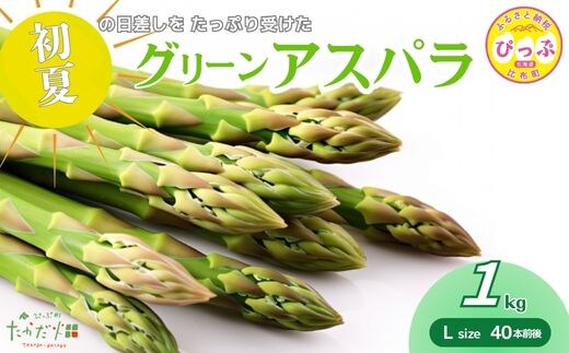 【2026年6月中旬から発送】比布町産 グリーンアスパラ Lサイズ 1kg（40本前後）【たかだ畑】アスパラガス 野菜 新鮮 緑黄色野菜 国産 北海道産 産地直送 北海道 比布町 ぴっぷ 1018-017