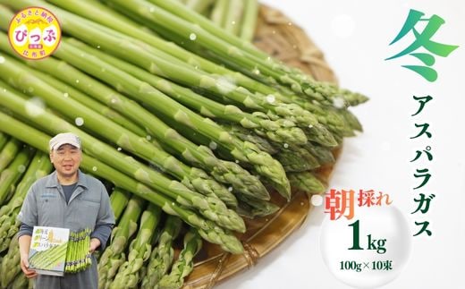 【12月下旬より発送】冬グリーンアスパラ M～Lサイズ 1kg（100g 10束）【菅原クリーンファーム】伏せ込み栽培 朝採り 野菜 新鮮 緑黄色野菜 国産 北海道産 産地直送 北海道 比布町 ぴっぷ 1020-001