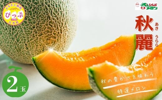 【2026年9月上旬頃より順次発送】ぴっぷメロン「秋麗（あきうらら）」 2玉【菅原クリーンファーム】メロン めろん 果物 くだもの フルーツ 赤肉 秋 旬 お取り寄せ 北海道 比布町 ぴっぷ 1020-002