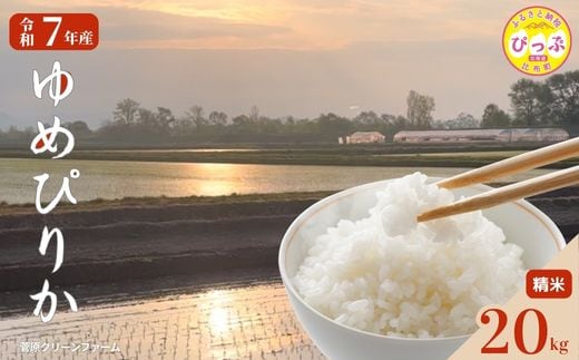 令和7年産 ゆめぴりか 精米 20kg【菅原クリーンファーム】 米 お米 北海道米 特Aランク 国産 コメ 北海道 比布町 1020-004