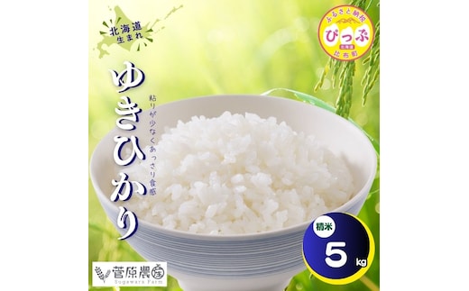 【令和8年産 新米先行受付】ゆきひかり 精米 5kg【菅原農産】米 お米 北海道米 国産 白米 コメ 北海道 比布町 ぴっぷ 1007-002