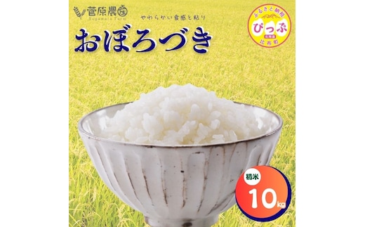 【令和8年産 新米先行受付】おぼろづき 精米 10kg【菅原農産】米 お米 北海道米 国産 白米 コメ 北海道 比布町 ぴっぷ 1007-004