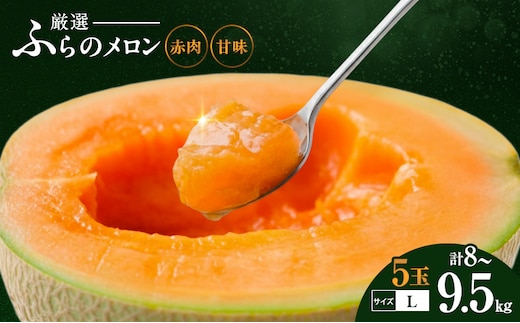 【令和8年産】ふらの 赤肉メロン 厳選 甘味 Lサイズ 1.6kg～1.9kg 5玉 セット ファーム富良野 メロン めろん 富良野メロン 果物 くだもの フルーツ 富良野 デザート 北海道 北海道上富良野町 