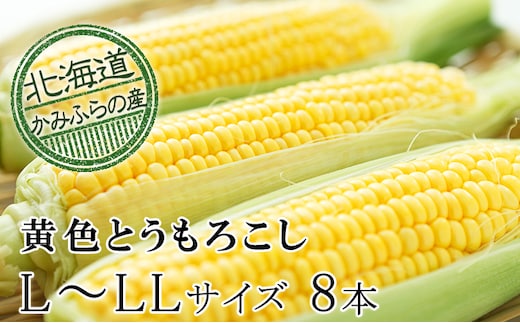 【令和8年産】朝採り【黄いとうもろこし】L～LL 8本セット≪北海道上富良野町産≫ 野菜 トウモロコシ 