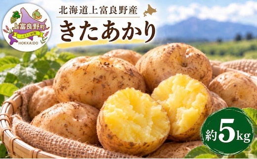 【令和8年産】じゃがいも【きたあかり】Lサイズ 約5kg≪北海道上富良野産≫ 野菜 ポテト 芋 産地直送