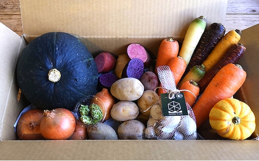 【令和8年産】 上富良野産 秋の オーガニック お野菜 セット 詰合せ 約3.5～5kg じゃがいも 根菜 有機野菜 産地直送 北海道 上富良野町 Nishio Farm