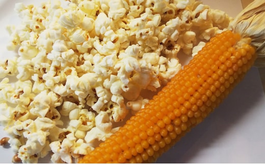 （自宅で楽しい！！食育にピッタリ）上富良野産手作りポップコーンセット 野菜 とうもろこし お菓子 スイーツ 
