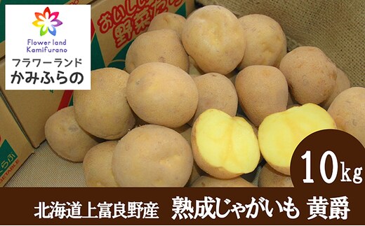 【令和8年産】北海道上富良野町産 蔵出し熟成じゃがいも 黄爵10kg 野菜 ジャガイモ 約10kg 