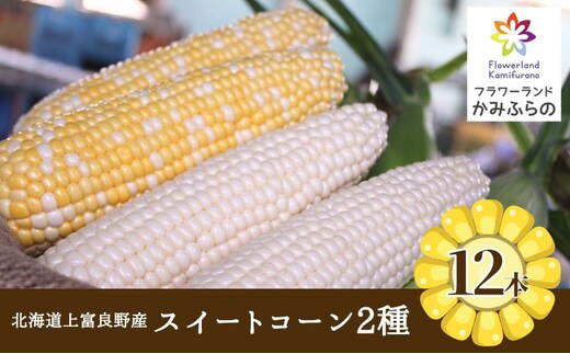 【令和8年産】北海道 上富良野 町産 スイートコーン 2種 セット 食べ比べ バイカラー 6本 白色 6本 計12本 野菜 とうもろこし トウモロコシ コーン 産地直送 野菜
