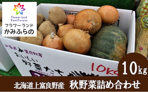 【令和8年産】北海道 上富良野 町産 秋野菜 詰め合わせ セット 約 10kg じゃがいも 玉ねぎ かぼちゃ 産地直送 野菜 詰合せ