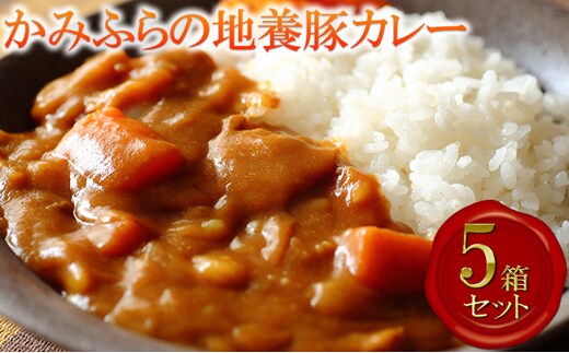 かみふらの地養豚カレー5箱セット 加工食品 惣菜 レトルト お肉 豚肉 
