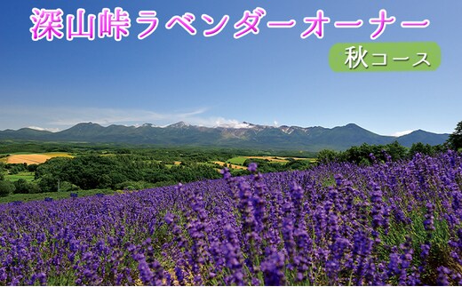 【令和8年】ラベンダーオーナー制度（秋コース） チケット 入場券 優待券 野菜 セット 詰合せ アロマグッズ 
