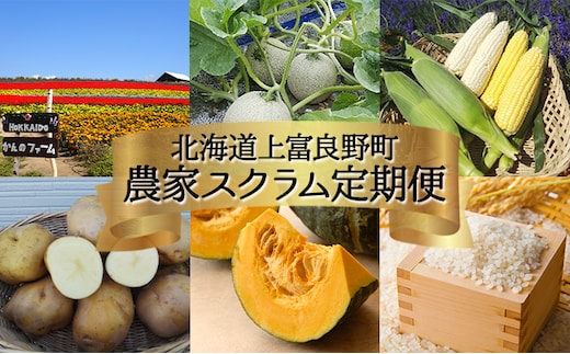 【令和8年産】先行予約 北海道 上富良野 農家スクラム スペシャル 定期便 4回発送 メロン とうもろこし トウモロコシ じゃがいも ジャガイモ かぼちゃ カボチャ お米 ゆめぴりか 果物 フルーツ 野菜 新米 