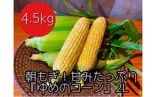 【令和8年産】農家直送！朝もぎスイートコーン『ゆめのコーン』2L 10～12本（4.5kg） 野菜 とうもろこし フルーツコーン 