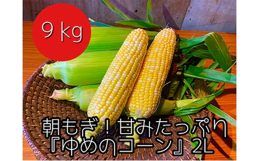 【令和8年産】農家直送！朝もぎスイートコーン『ゆめのコーン』2L 20～22本（9kg） 野菜 とうもろこし 旬の野菜 
