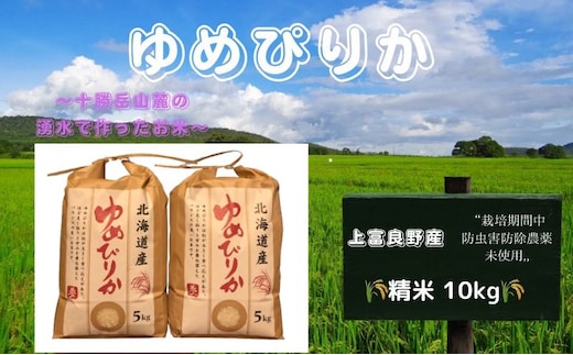 北海道 上富良野産「 ゆめぴりか 」特別栽培 白米 10kg（令和7年産） お米 日用品 ライス 食べ物 ストック 常備品 北海道産 おにぎり お弁当 