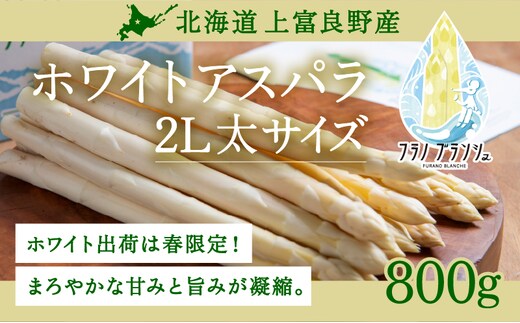 【令和8年産】先行予約 北海道 上富良野産 ホワイトアスパラガス 2L サイズ 900g アスパラ ホワイト アスパラガス 上富良野町 令和7年発送 野菜 やさい 