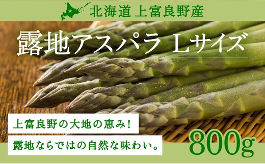 【令和8年産】先行予約 北海道 上富良野産 露地 グリーン アスパラガス Lサイズ 900g アスパラ グリーンアスパラ 上富良野町 令和7年発送 野菜 やさい 