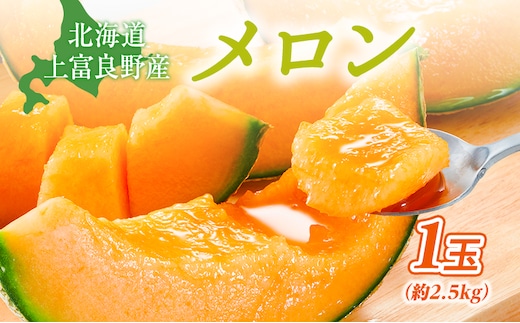 【令和8年産】JAふらの厳選！約2.5kg×1玉 赤肉メロン メロン めろん 富良野メロン 果物 くだもの フルーツ 富良野 デザート 北海道 国産 上富良野産 北海道産 食後 来客 北海道メロン 