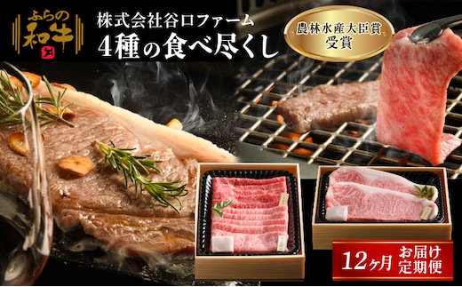 【農林水産大臣賞受賞】 ふらの和牛 4種のサーロイン 食べ尽くし 1年定期便 牛肉 お肉 国産 霜降り すき焼き 焼肉 ステーキ しゃぶしゃぶ 食材 国産牛 おうち焼肉 お家ディナー 夕飯 肉料理 晩御飯 