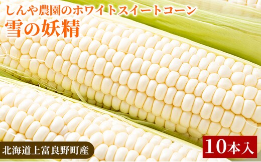 【令和8年産】しんや農園のホワイトスイートコーン「雪の妖精」10本 野菜 北海道産 とうもろこし 希少 甘みが強い 柔らかい 新鮮【北海道上富良野町産】