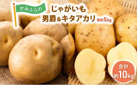 【令和8年産】かみふらのじゃがいも「男爵5kg & キタアカリ5kg」 野菜 旬の野菜 北海道産 北海道野菜 国産 国産野菜 グルメ 食材 ポテト 北海道産じゃがいも 
