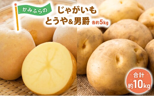 【令和8年産】しんや農園のじゃがいも「とうや5kg & 男爵5kg」 計10kg 野菜 旬の野菜 北海道産 北海道野菜 国産 国産野菜 グルメ 食材 ポテト 北海道産じゃがいも 食べ比べ 煮崩れしにくい ホクホク【北海道上富良野町産】