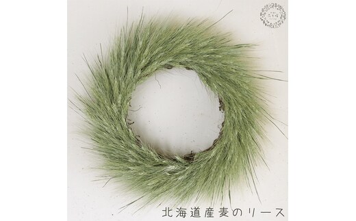 富良野 花七曜 北海道産麦のリース◆ ドライフラワーリース 
