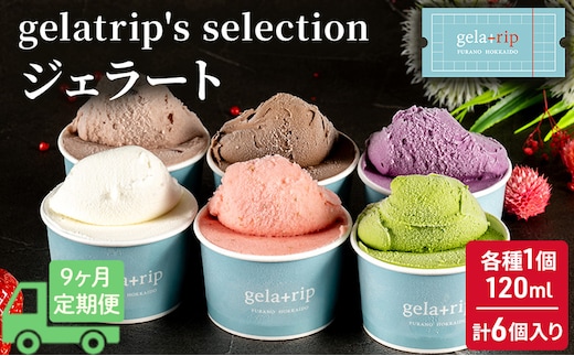 ≪9ヵ月定期便≫gelatrip's selection ジェラート6個BOX 