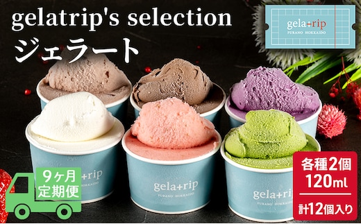 ≪9ヵ月定期便≫gelatrip's selection ジェラート12個BOX 