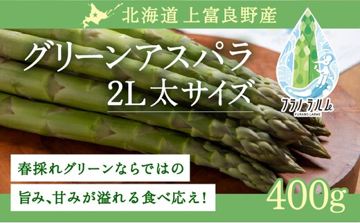 【令和8年産】先行予約 北海道 上富良野産 グリーン アスパラガス 2L サイズ 500g アスパラ 上富良野町 令和7年 発送 野菜 やさい【オンライン決済限定】