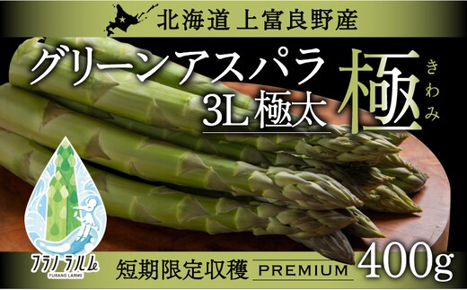 【令和8年産】先行予約 北海道 上富良野産 グリーン アスパラガス 3L サイズ 500g アスパラ 上富良野町 令和7年 発送 野菜 やさい【オンライン決済限定】