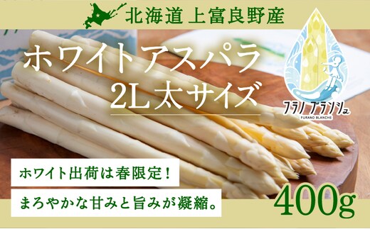 【令和8年産】先行予約 北海道 上富良野産 ホワイトアスパラガス 2L サイズ 500g アスパラ ホワイト アスパラガス 上富良野町 令和7年発送 野菜 やさい【オンライン決済限定】