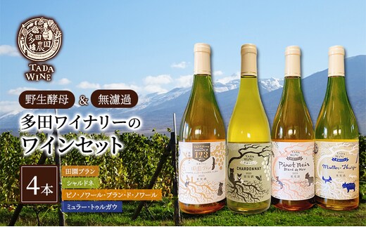 【野生酵母】辛口白ワイン4本 多田ワイナリー 北海道 上富良野町 ワイン セット お酒 アルコール