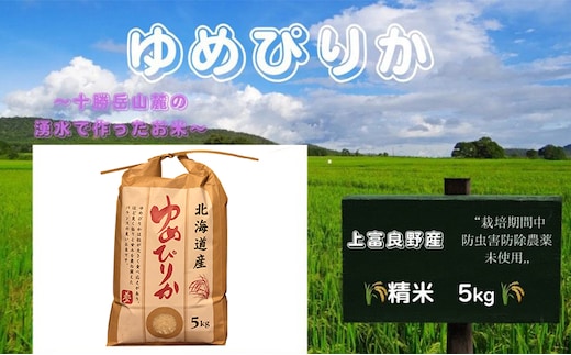 北海道 上富良野産「 ゆめぴりか 」特別栽培 白米 5kg（令和7年産） お米 日用品 ライス ご飯 食べ物 ストック 常備品 北海道産 おにぎり お弁当