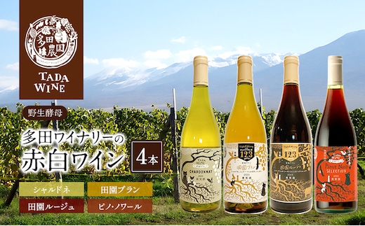 【野生酵母】かみふらの 多田ワイナリー 赤白ワイン 計4本 ワイン 赤ワイン 白ワイン 飲み比べ セット ぶどう 葡萄 ワイナリー 酒 北海道 上富良野町