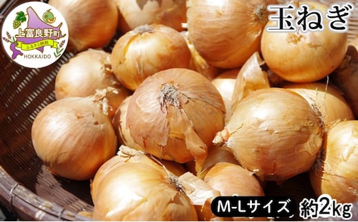 北海道 上富良野 玉ねぎ 約2kg（ M-L サイズ ） 野菜 たまねぎ オニオン 産地直送 新鮮 ふらの
