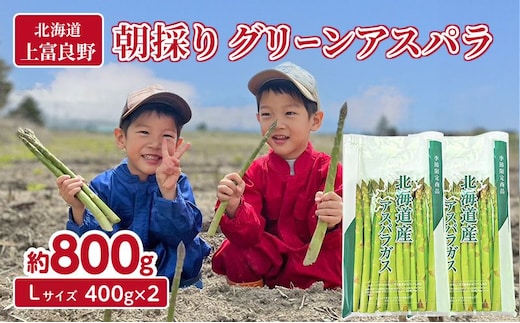 数量限定！【2026年分先行予約】 アスパラガス 専門農家 の 特選 グリーン アスパラ 800g L サイズ 原農園 アスパラ あすぱら 野菜 北海道 上富良野町