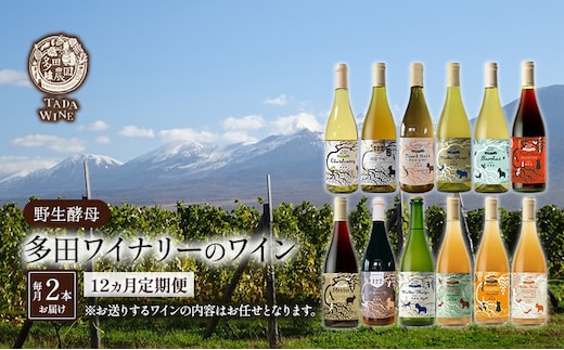 ワイン12ヵ月定期便◎月2本×12回◎多田ワイナリー◎野生酵母ワイン 北海道 上富良野町 ワイン 赤ワイン 白ワイン 微発泡ワイン オレンジワイン